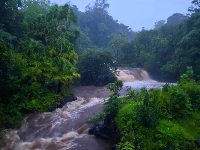 Heavy rain triggers flood warnings, road and park closures on Maui